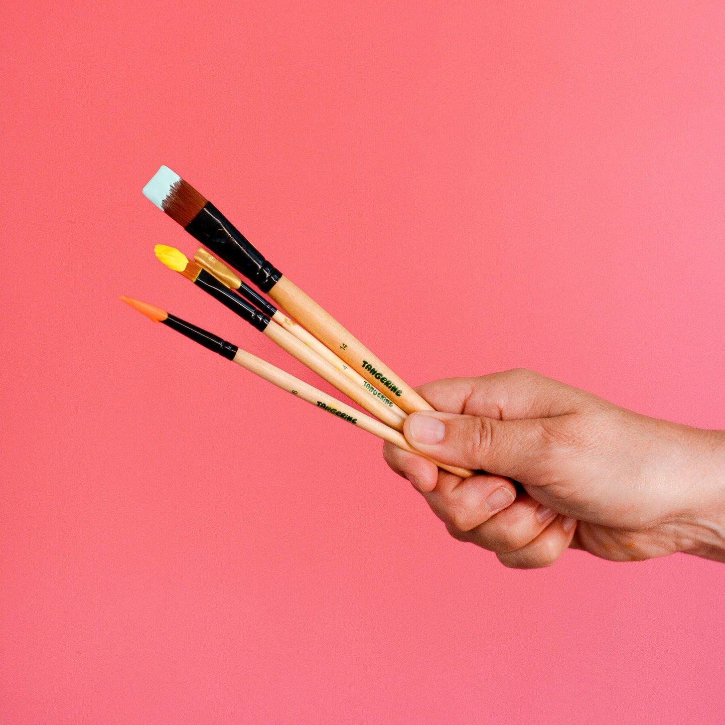 Paint Brush Set